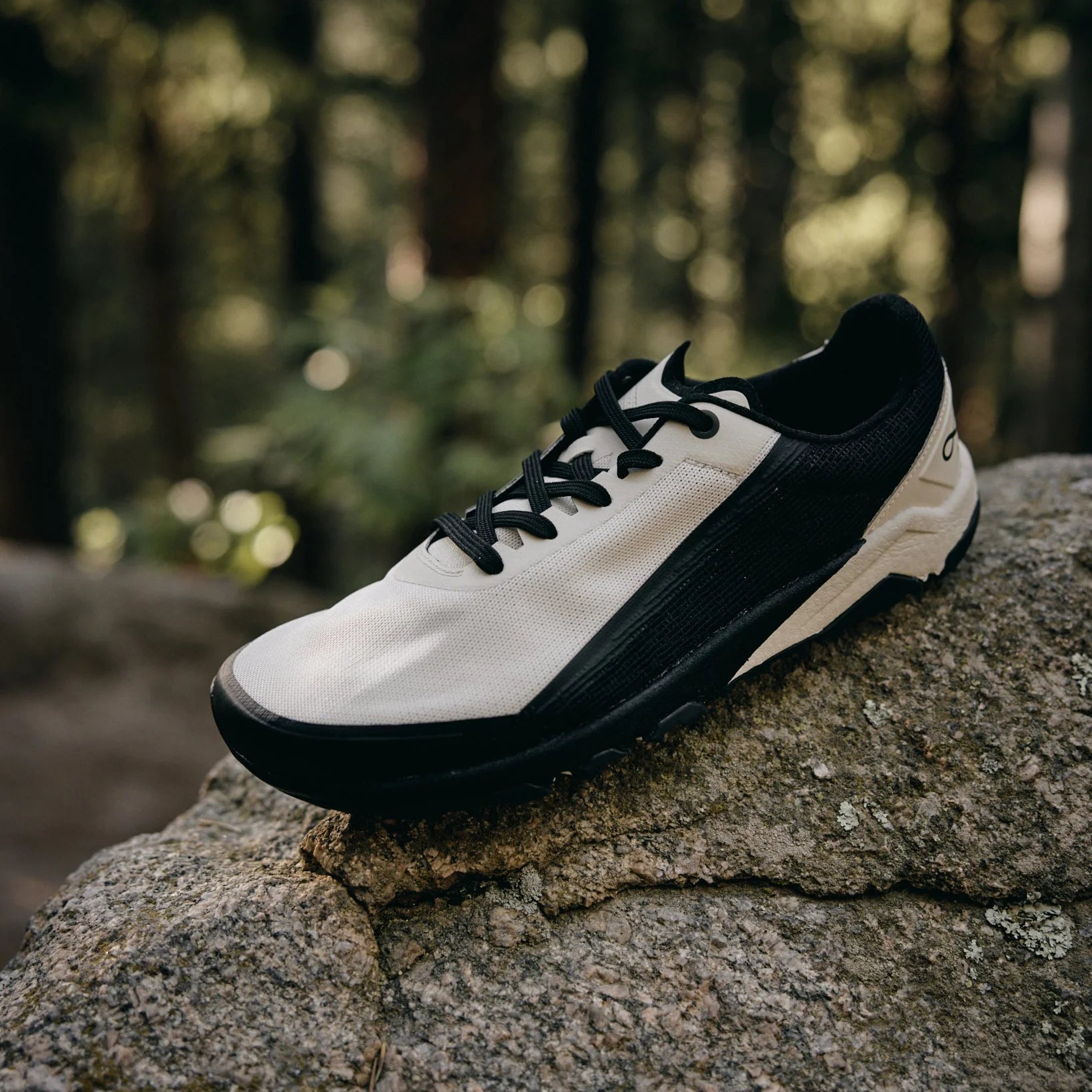 Notace Yama T1 Men Ivory